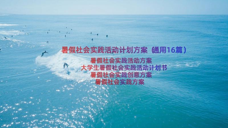 暑假社会实践活动计划方案（通用16篇）