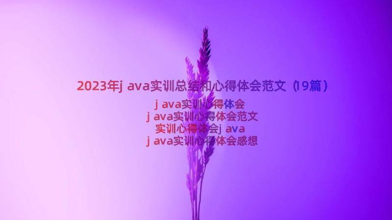 2023年java实训总结和心得体会范文（19篇）