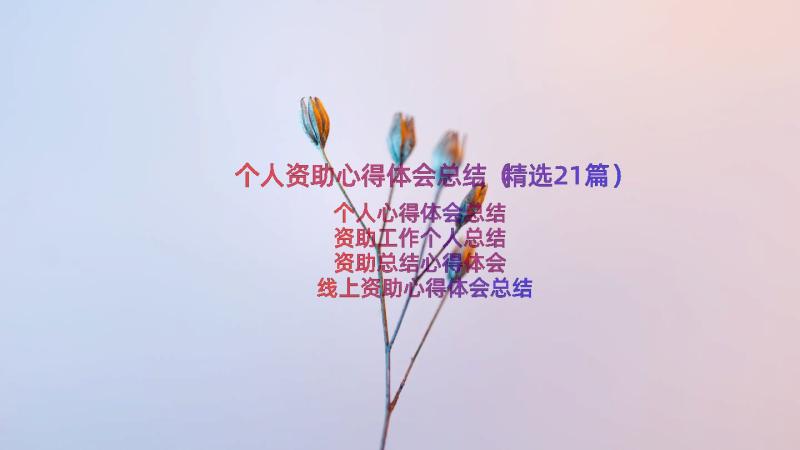 个人资助心得体会总结（精选21篇）