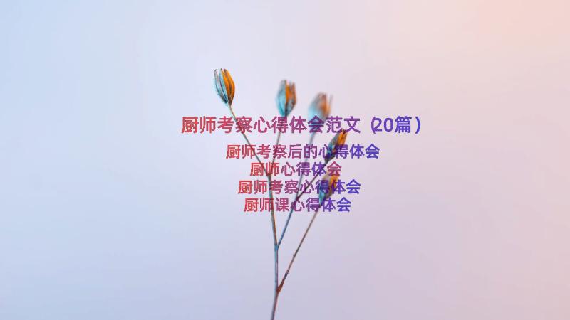 厨师考察心得体会范文（20篇）