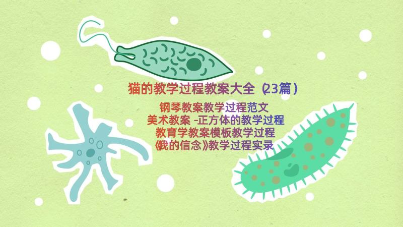 猫的教学过程教案大全（23篇）