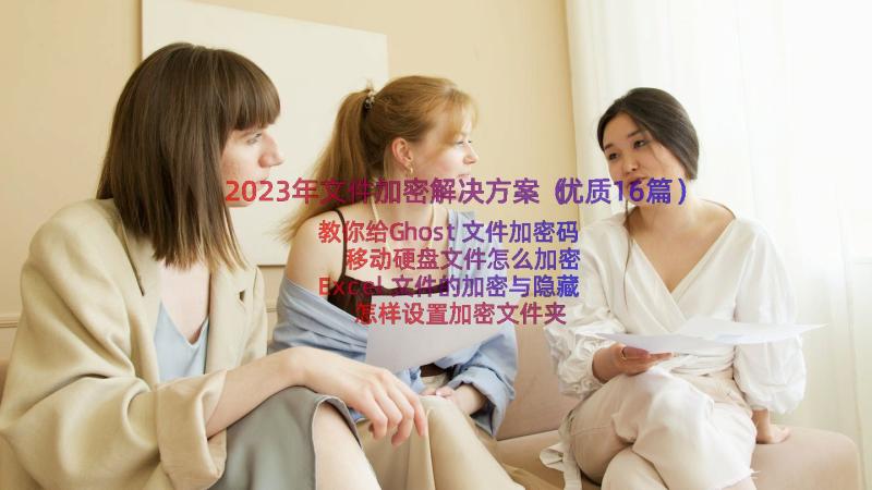 2023年文件加密解决方案（优质16篇）