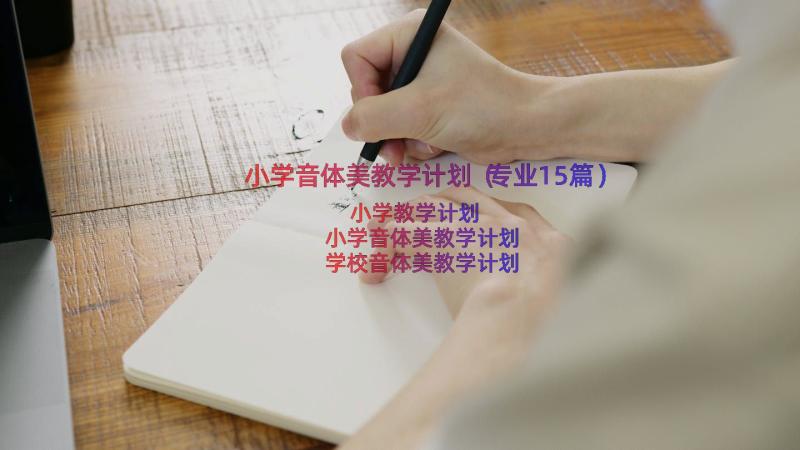 小学音体美教学计划（专业15篇）