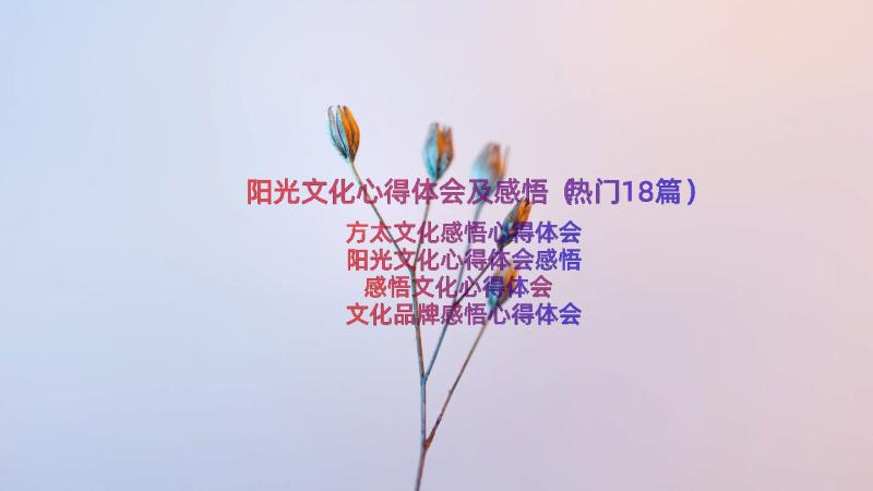 阳光文化心得体会及感悟（热门18篇）