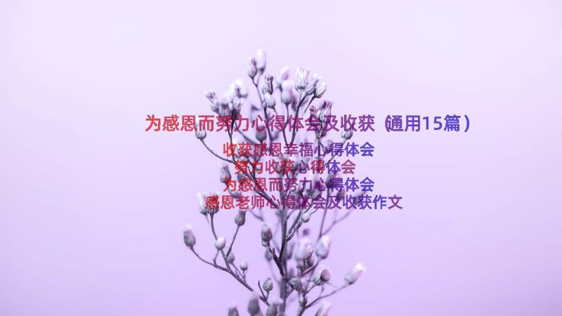 为感恩而努力心得体会及收获（通用15篇）