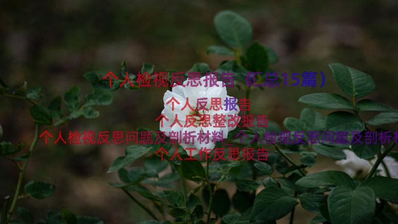 个人检视反思报告（汇总15篇）