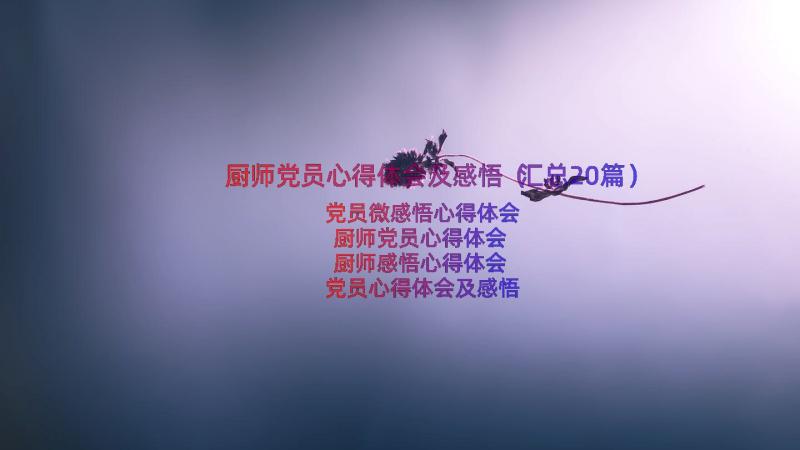 厨师党员心得体会及感悟（汇总20篇）