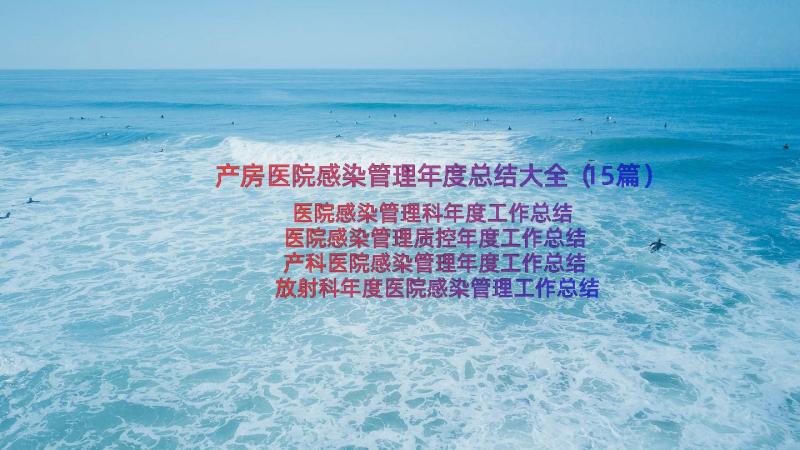 产房医院感染管理年度总结大全（15篇）