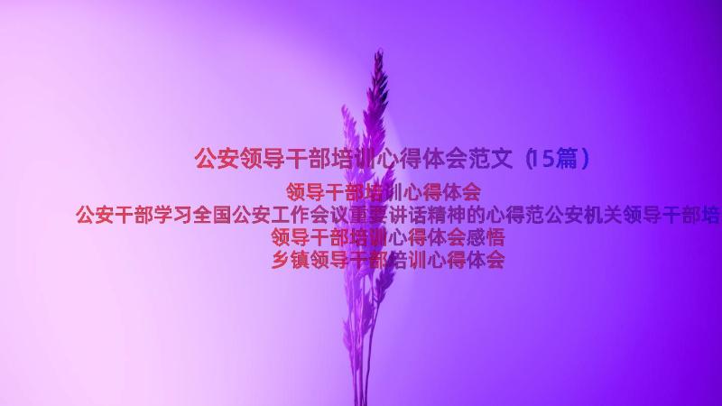 公安领导干部培训心得体会范文（15篇）