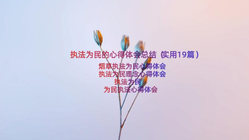 执法为民的心得体会总结（实用19篇）