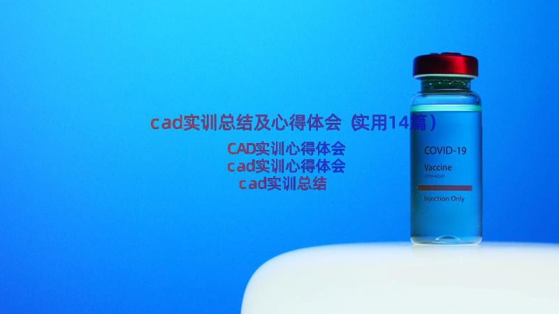 cad实训总结及心得体会（实用14篇）