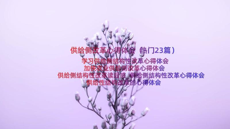 供给侧改革心得体会（热门23篇）