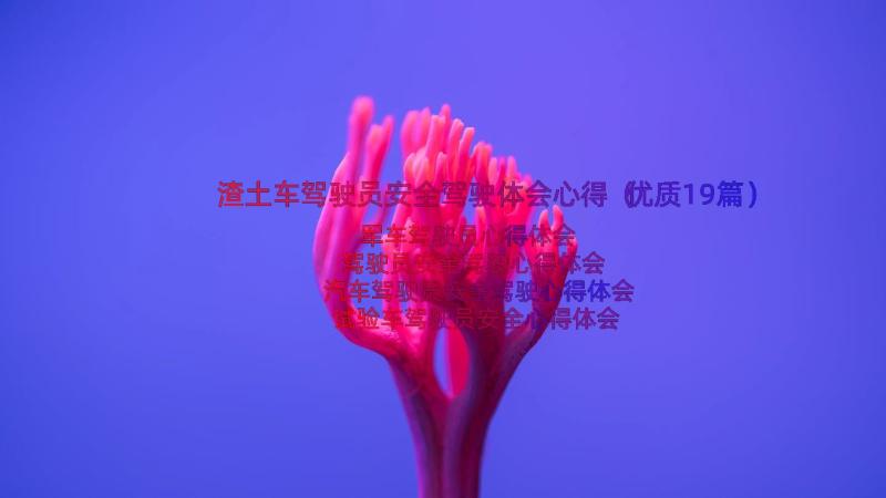 渣土车驾驶员安全驾驶体会心得（优质19篇）