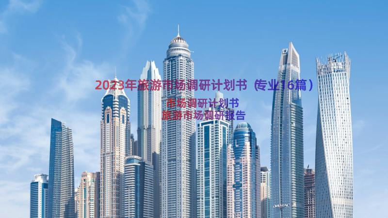 2023年旅游市场调研计划书（专业16篇）