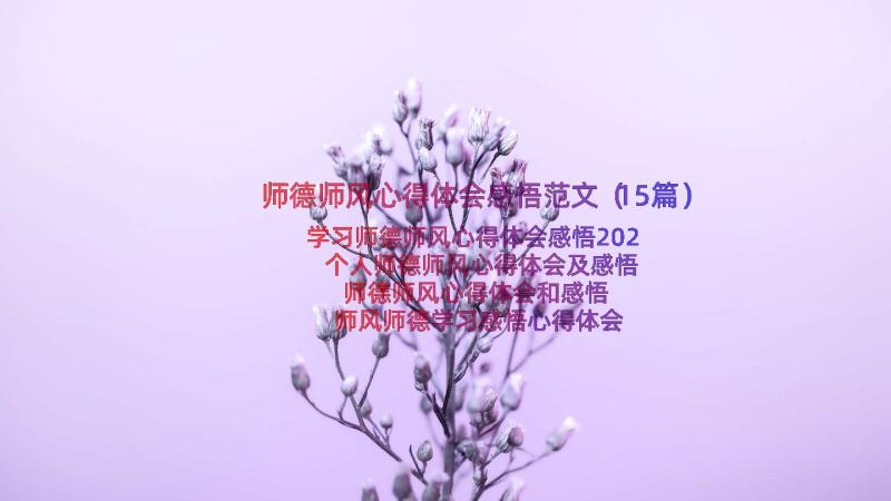 师德师风心得体会感悟范文（15篇）