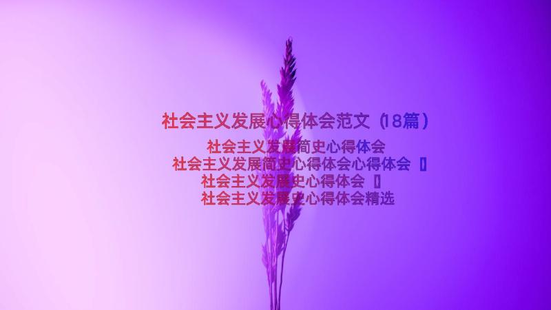 社会主义发展心得体会范文（18篇）