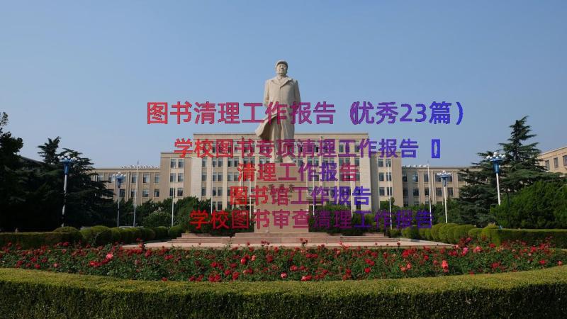 图书清理工作报告（优秀23篇）