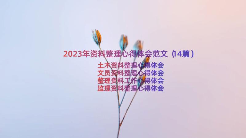 2023年资料整理心得体会范文（14篇）