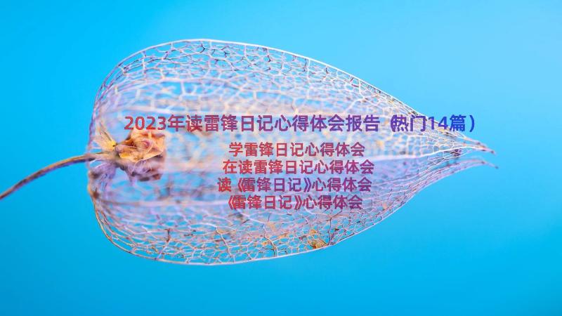 2023年读雷锋日记心得体会报告（热门14篇）