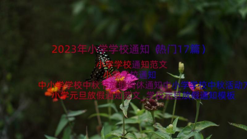 2023年小学学校通知（热门17篇）