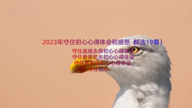 2023年守住初心心得体会和感想（精选19篇）