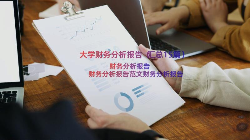 大学财务分析报告（汇总15篇）