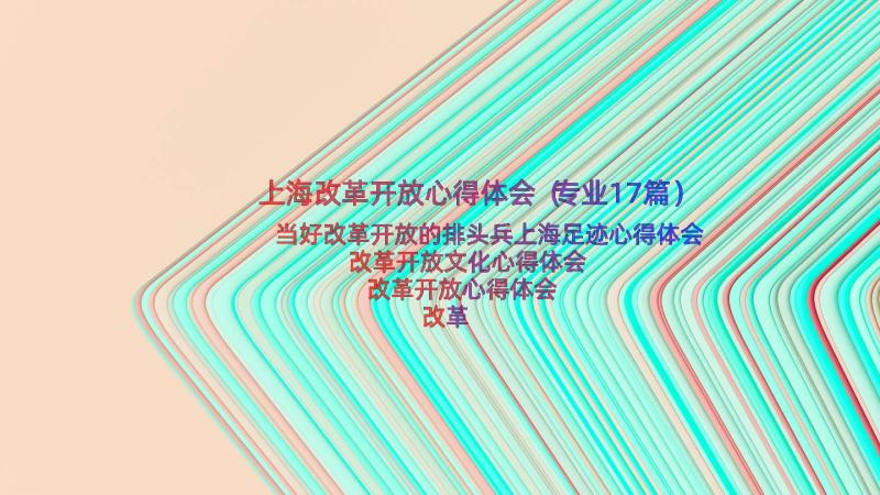 上海改革开放心得体会（专业17篇）