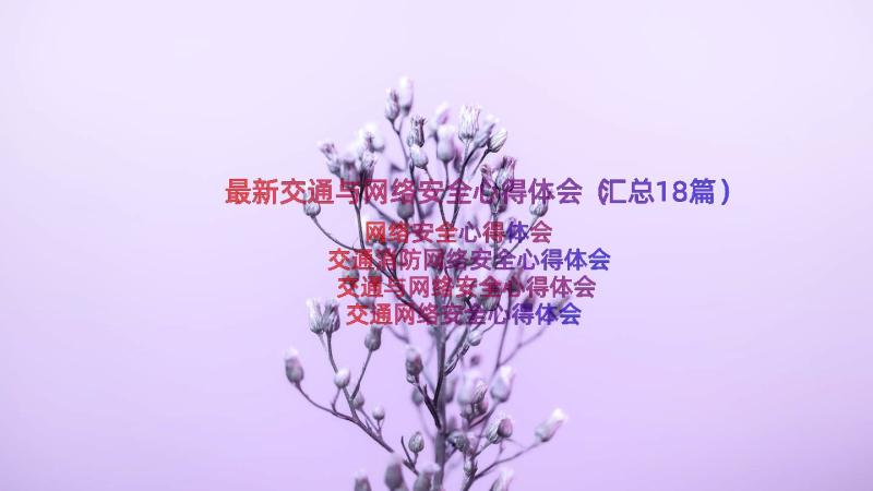 最新交通与网络安全心得体会（汇总18篇）