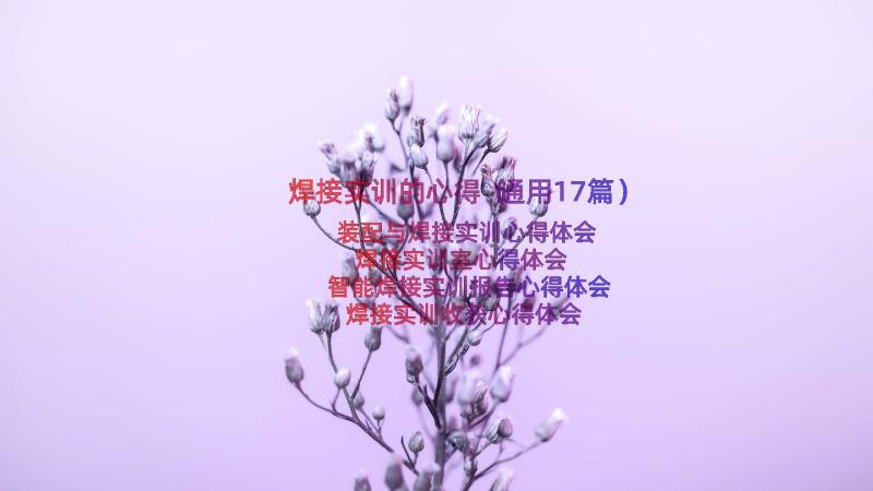 焊接实训的心得（通用17篇）