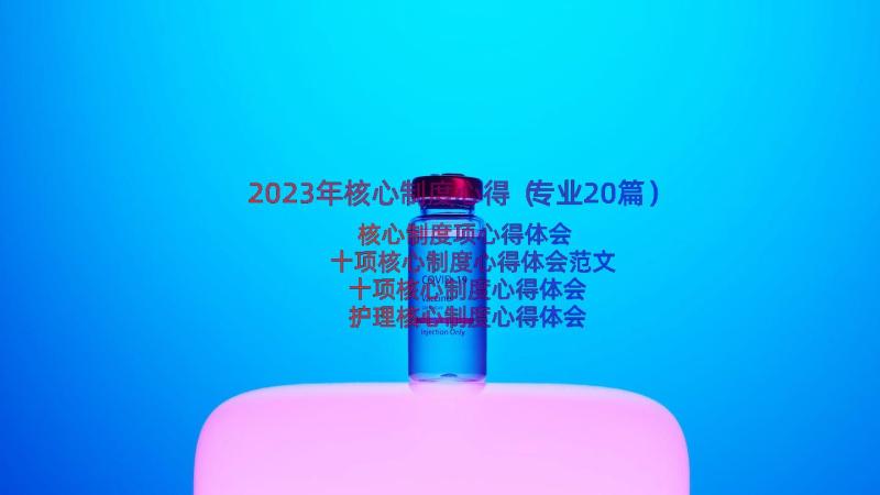 2023年核心制度心得（专业20篇）