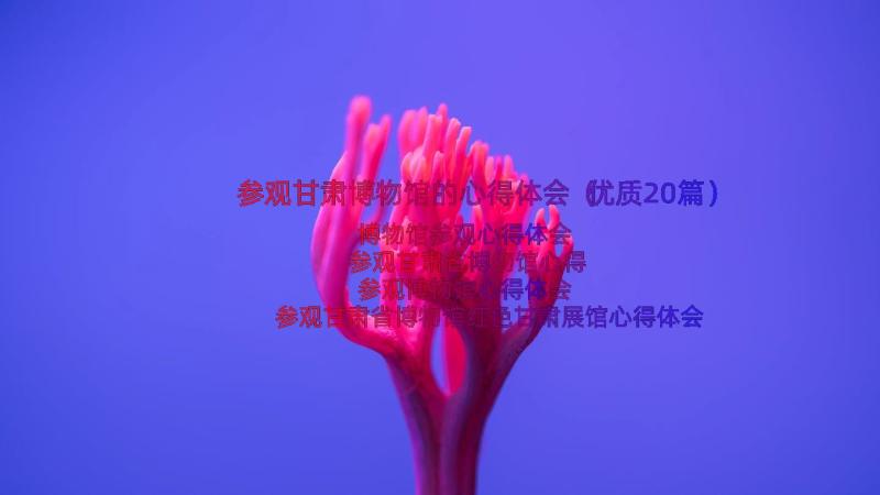 参观甘肃博物馆的心得体会（优质20篇）