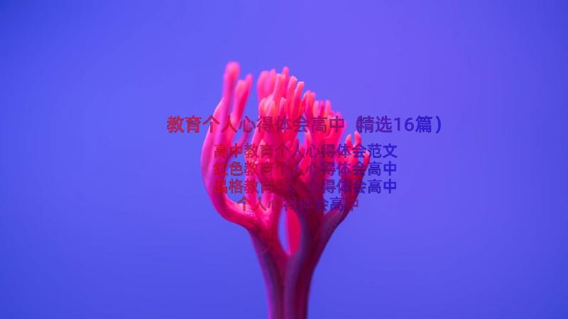 教育个人心得体会高中（精选16篇）