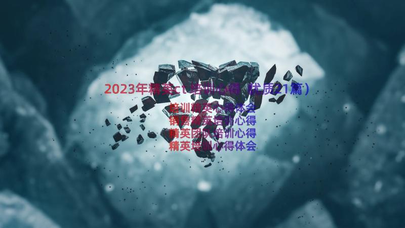 2023年精英ct培训心得（优质21篇）