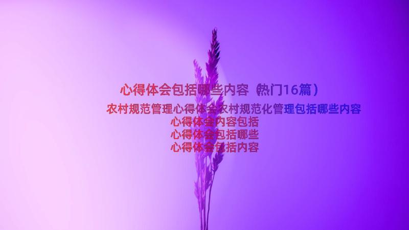 心得体会包括哪些内容（热门16篇）