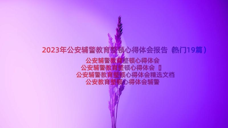 2023年公安辅警教育整顿心得体会报告（热门19篇）