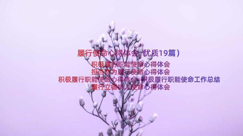 履行使命心得体会（优质19篇）