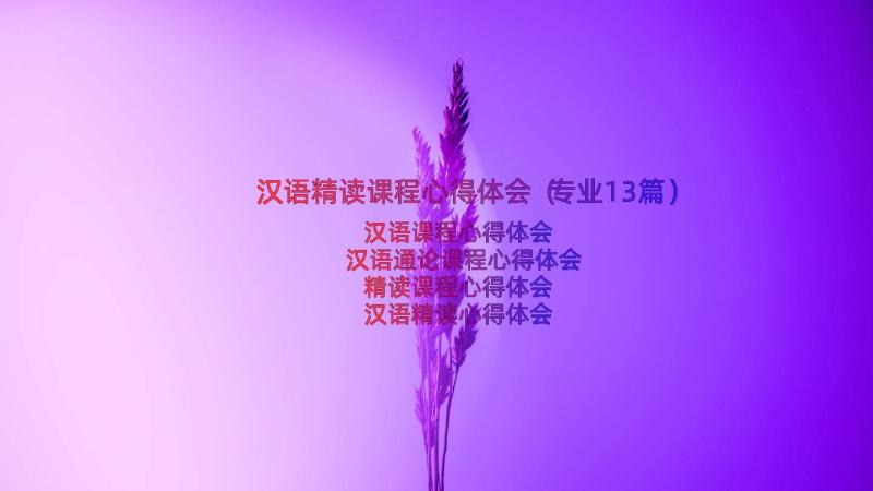 汉语精读课程心得体会（专业13篇）
