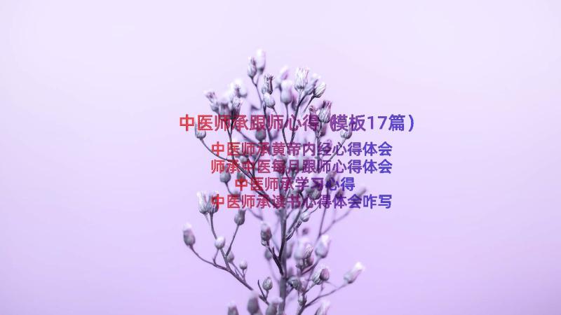 中医师承跟师心得（模板17篇）