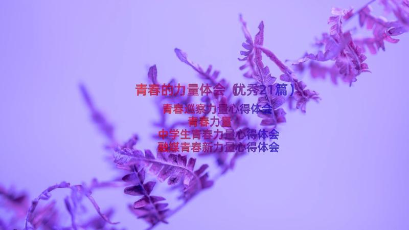 青春的力量体会（优秀21篇）