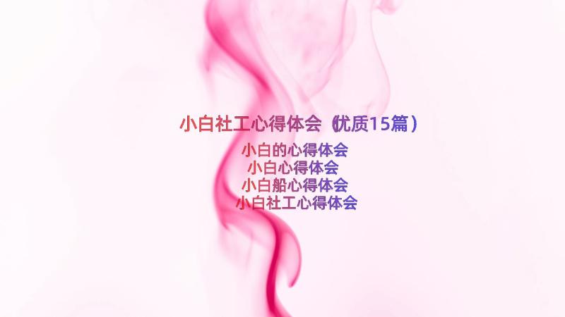 小白社工心得体会（优质15篇）