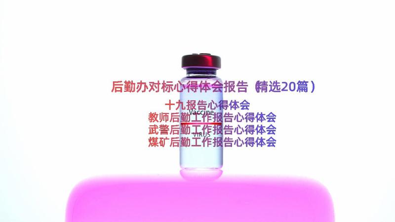 后勤办对标心得体会报告（精选20篇）