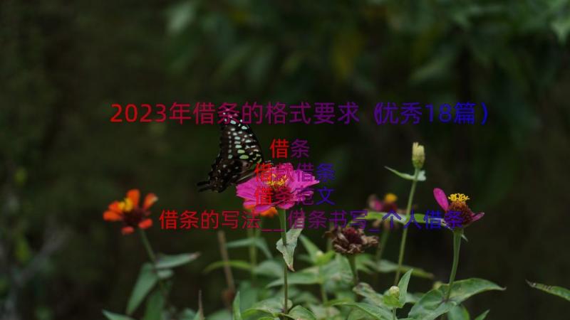 2023年借条的格式要求（优秀18篇）