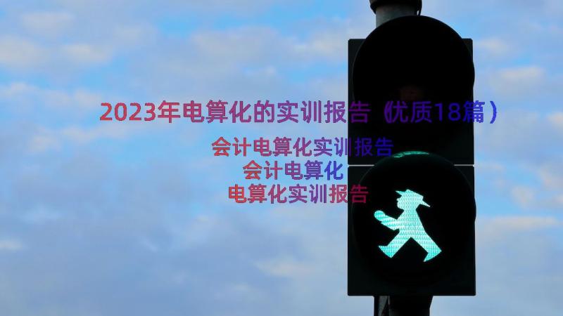 2023年电算化的实训报告（优质18篇）