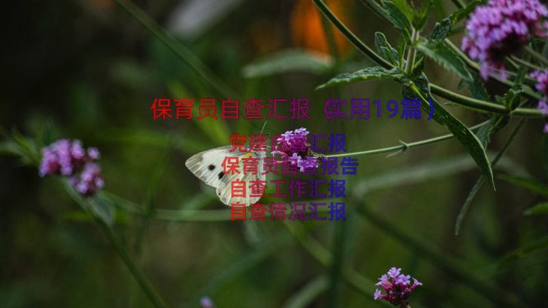 保育员自查汇报（实用19篇）