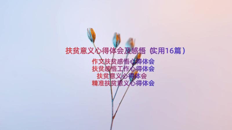 扶贫意义心得体会及感悟（实用16篇）