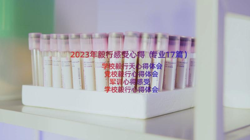 2023年毅行感受心得（专业17篇）