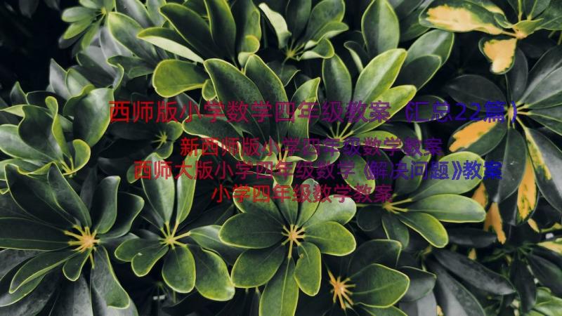 西师版小学数学四年级教案（汇总22篇）