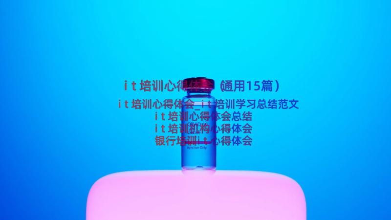 it培训心得体会（通用15篇）