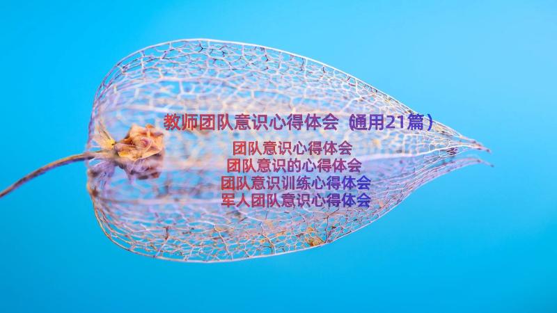 教师团队意识心得体会（通用21篇）