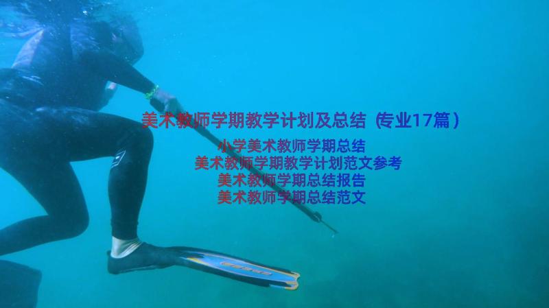 美术教师学期教学计划及总结（专业17篇）